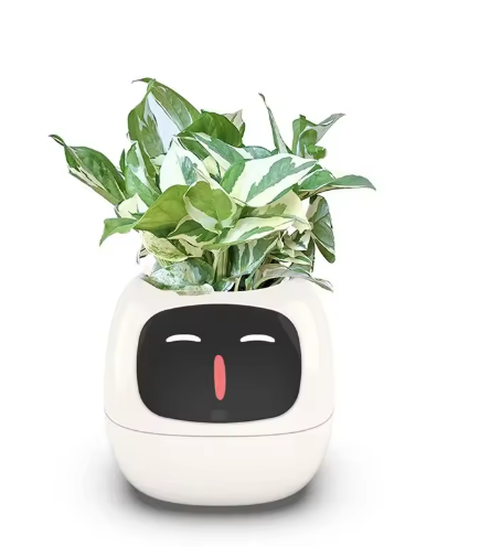 BioPot Echo